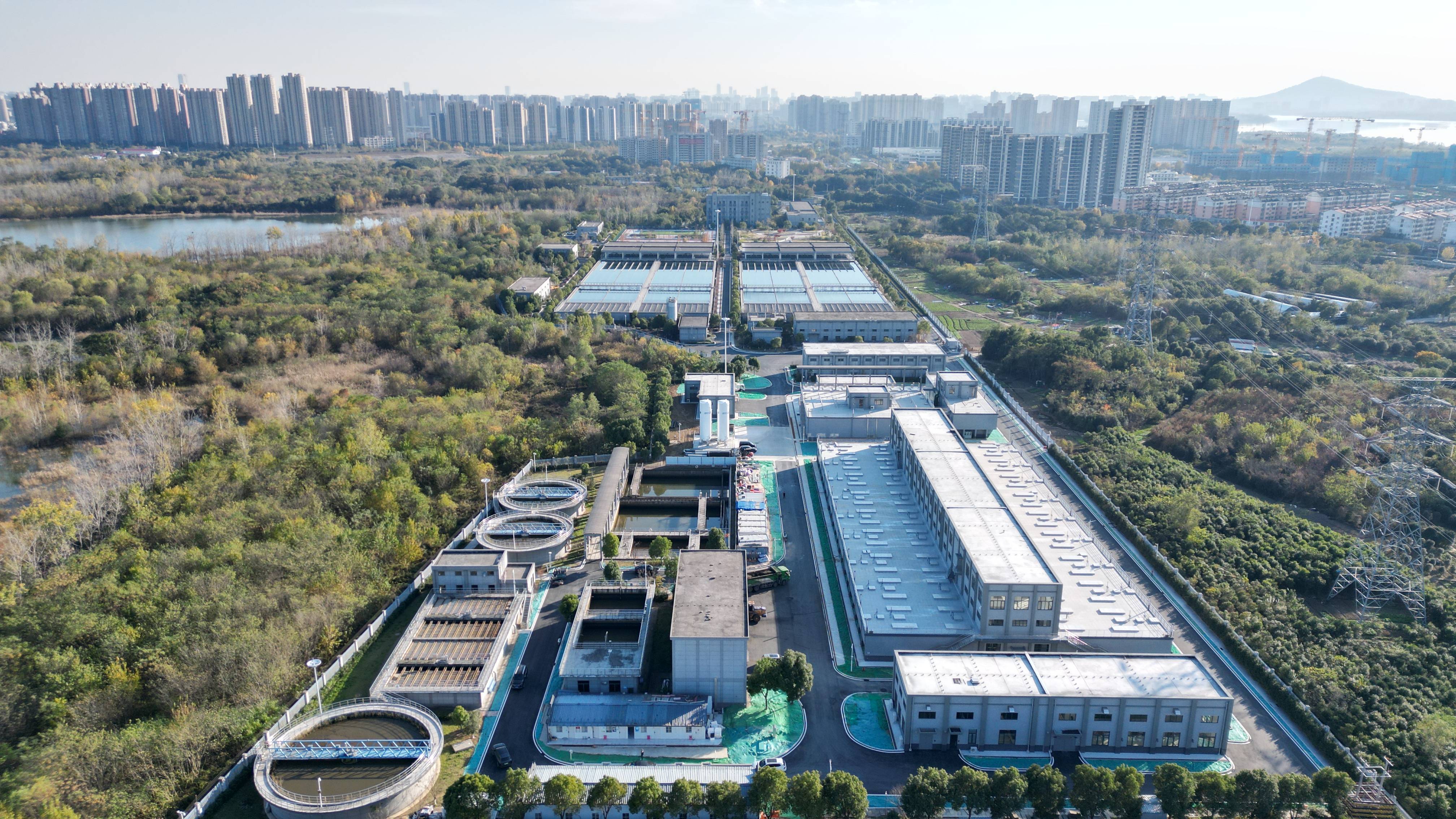 临沂市合肥专业企业价值增长(合肥市重点企业产业目录)