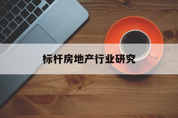 临沂市标杆房地产行业研究(房地产领域的标杆人物)
