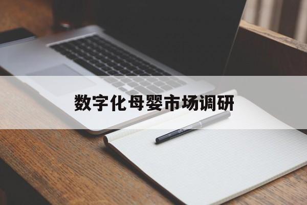 临沂市数字化母婴市场调研(数字化母婴市场调研报告)